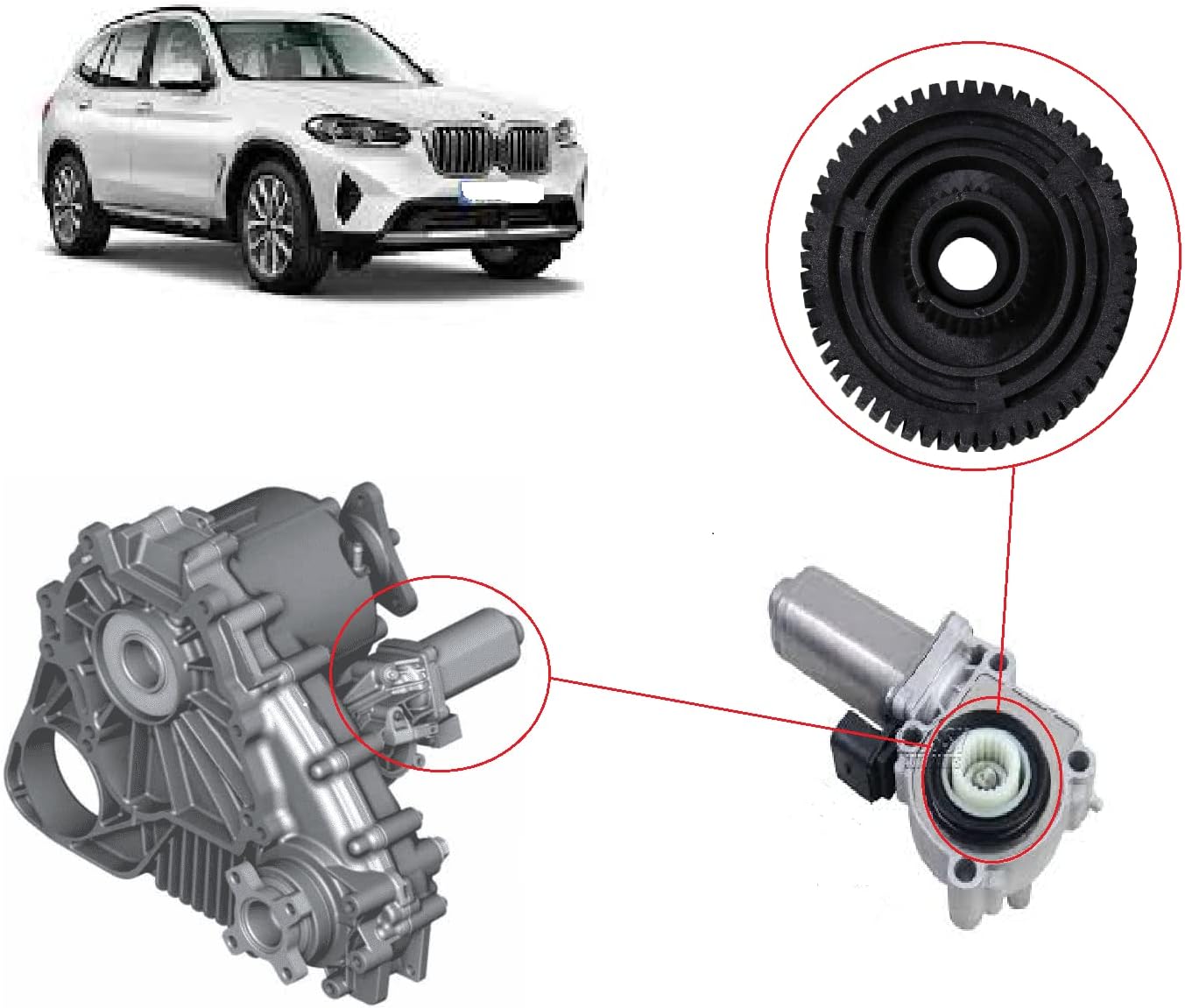 PIÑON TRANSFER BMW X3 X5 X6 - Imagen 2
